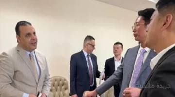 تحرك مصري جديد.. مباحثات مع عملاقين من الصين لإنشاء منطقة صناعية كبرى 1